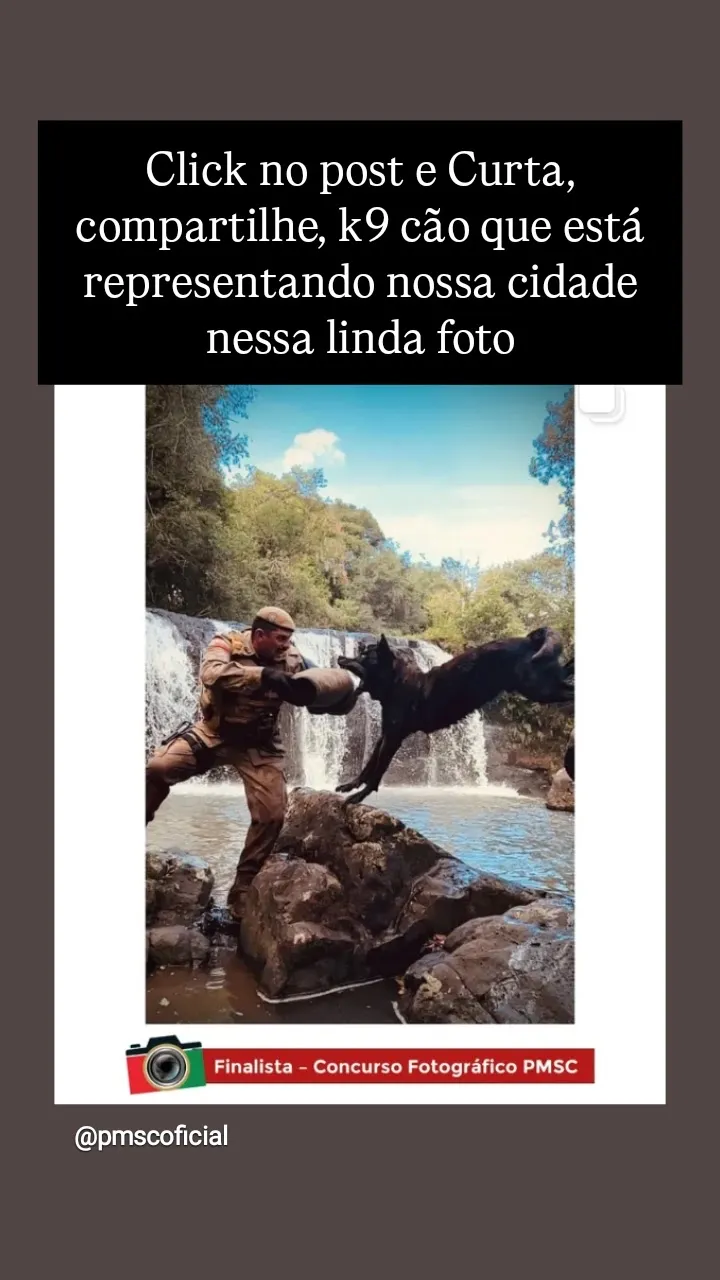 Imagem do link Animais