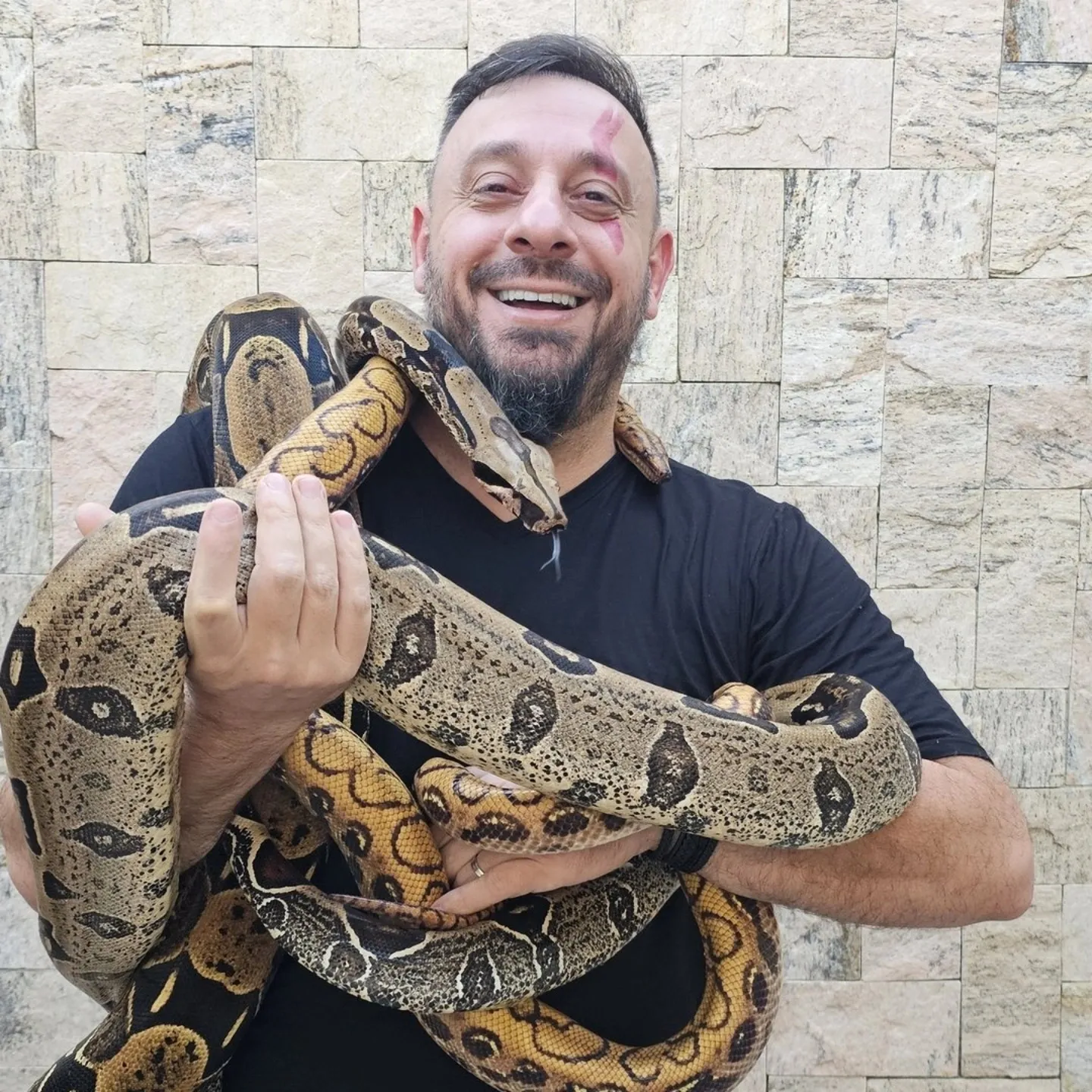 Imagem do link Me segue aqui,