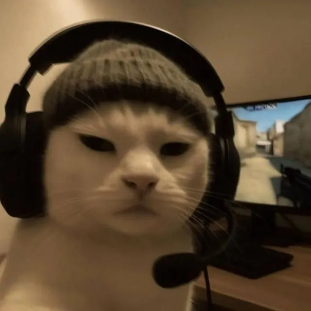 Imagem do link Bill Divulgações 🫰🤍